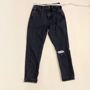 Madewell "Perfect Jean"